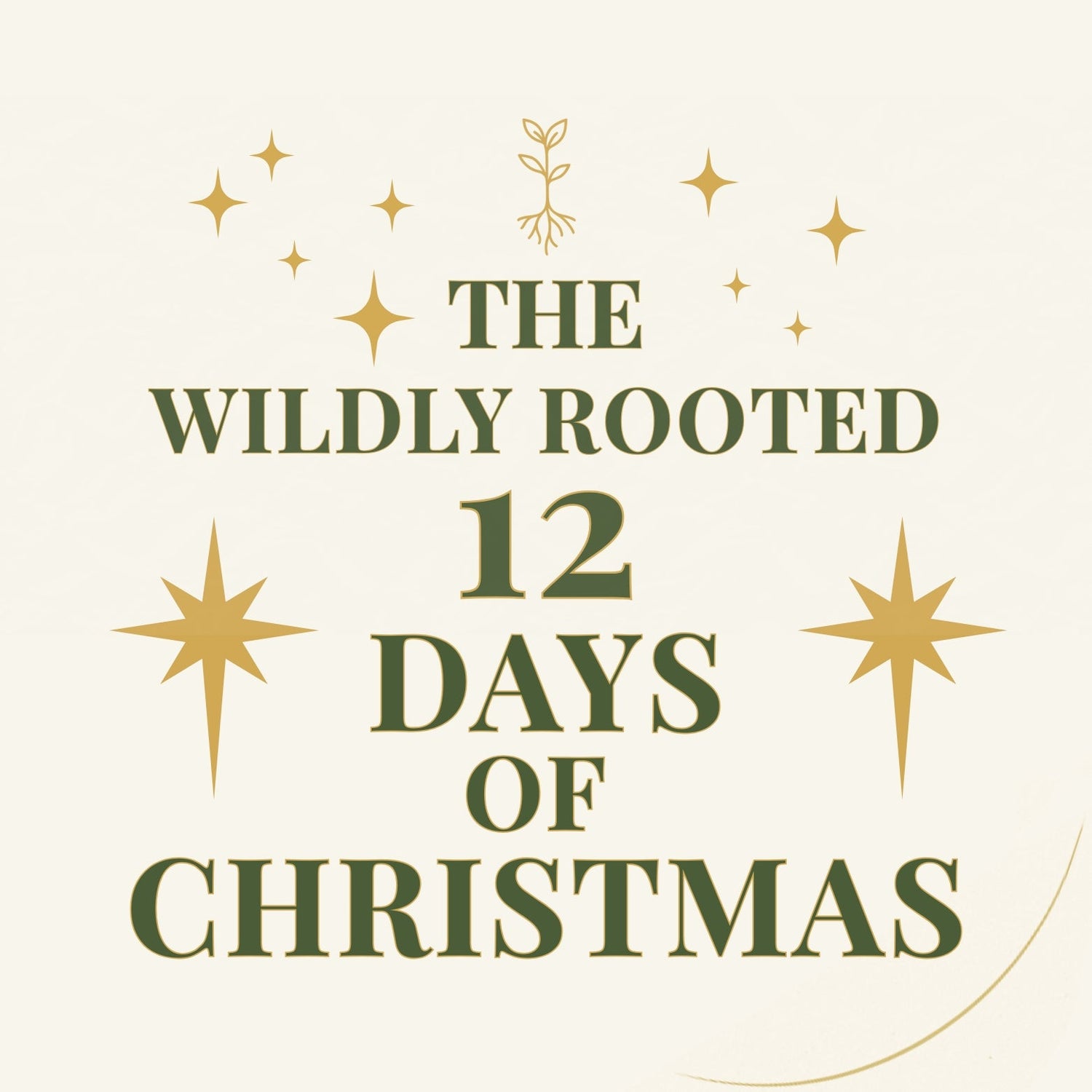 12 Days of Christmas