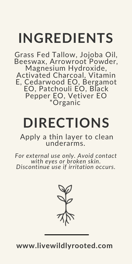 Steadfast Daily Care Bundle