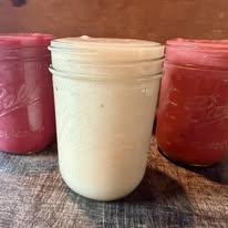 Wild Moss DIY Kit - Daily Mineral Support from the Sea