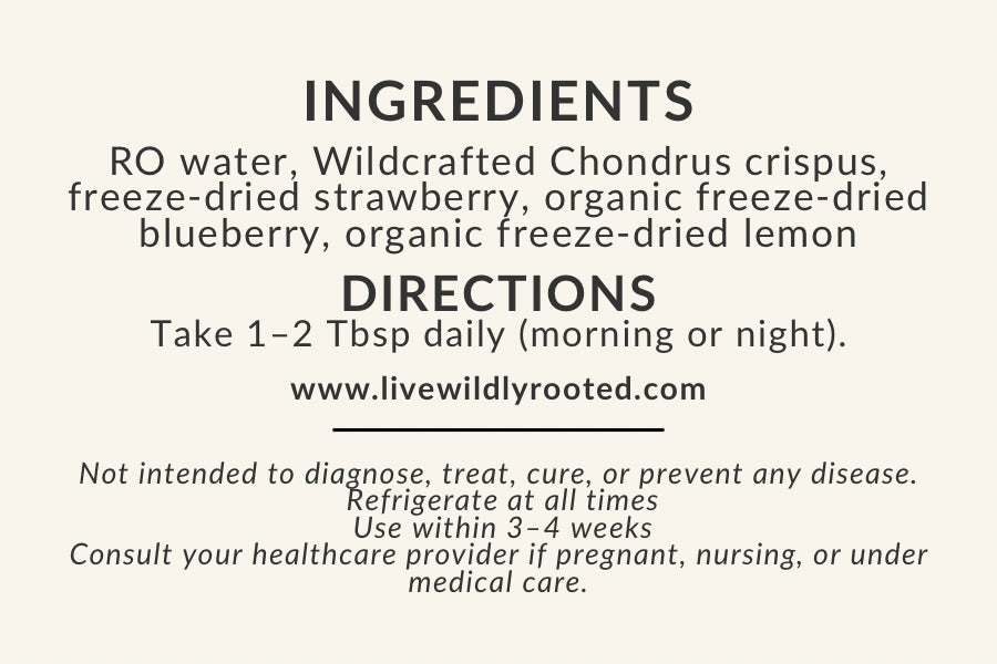 Wild Moss Sea Moss Gel - Local Delivery + Market Product Only