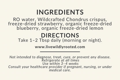 Wild Moss Sea Moss Gel - Local Delivery + Market Product Only