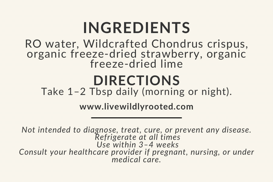 Wild Moss Sea Moss Gel - Local Delivery + Market Product Only