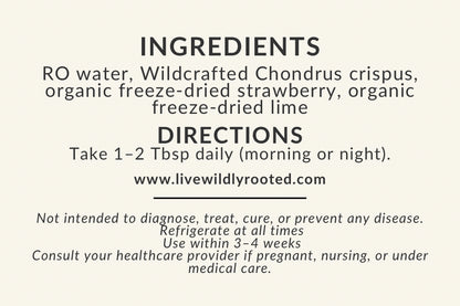 Wild Moss Sea Moss Gel - Local Delivery + Market Product Only