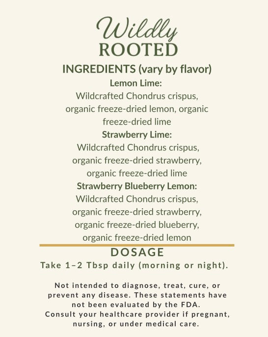 Wild Moss DIY Kit - Daily Mineral Support from the Sea