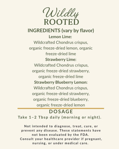 Wild Moss DIY Kit - Daily Mineral Support from the Sea