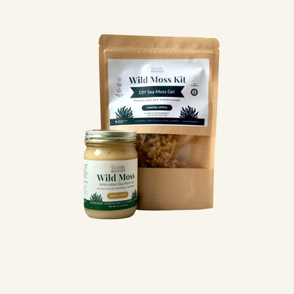 Wild Moss DIY Kit | Wildcrafted Sea Moss Gel Kit